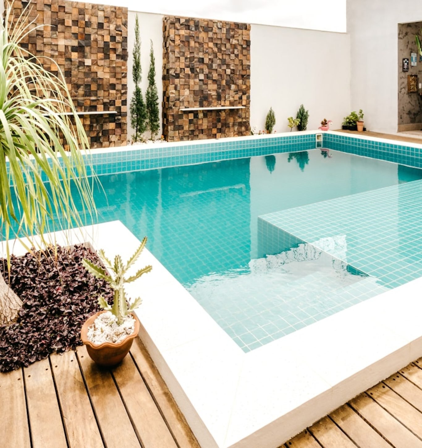 green potted plant beside swimming pool